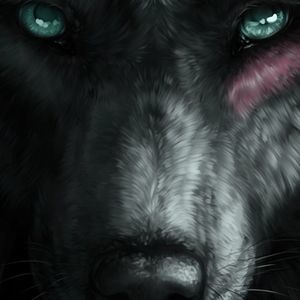 Meet your Posher, Lynn